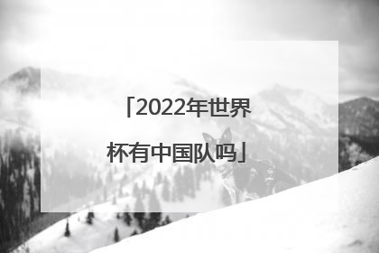 「2022年世界杯有中国队吗」2022年世界杯中国队战绩