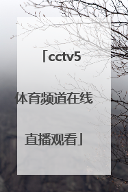 「cctv5体育频道在线直播观看」体育频道直播cctv5在线直播观看男篮